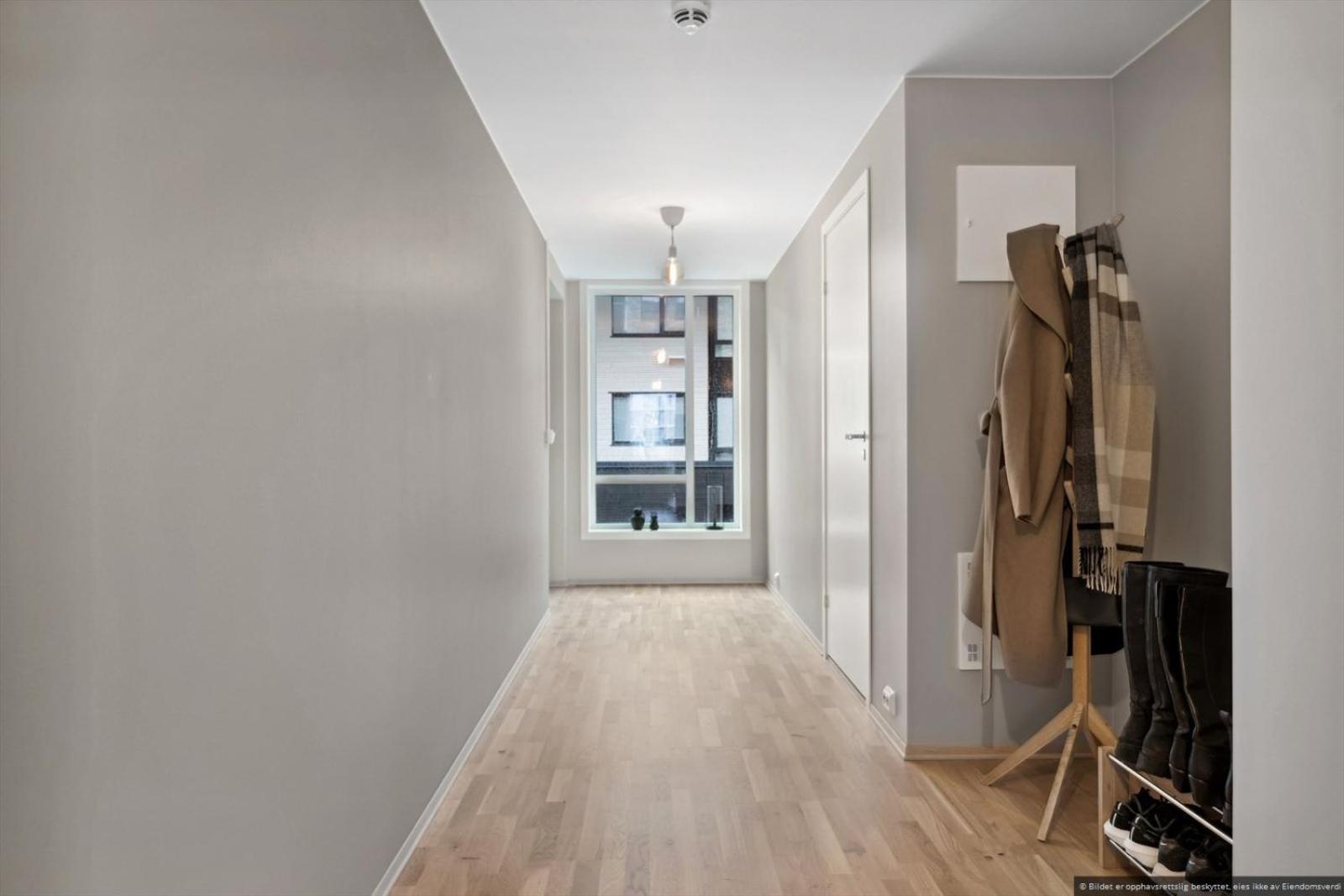 Modern 1 Bedroom In Apartment