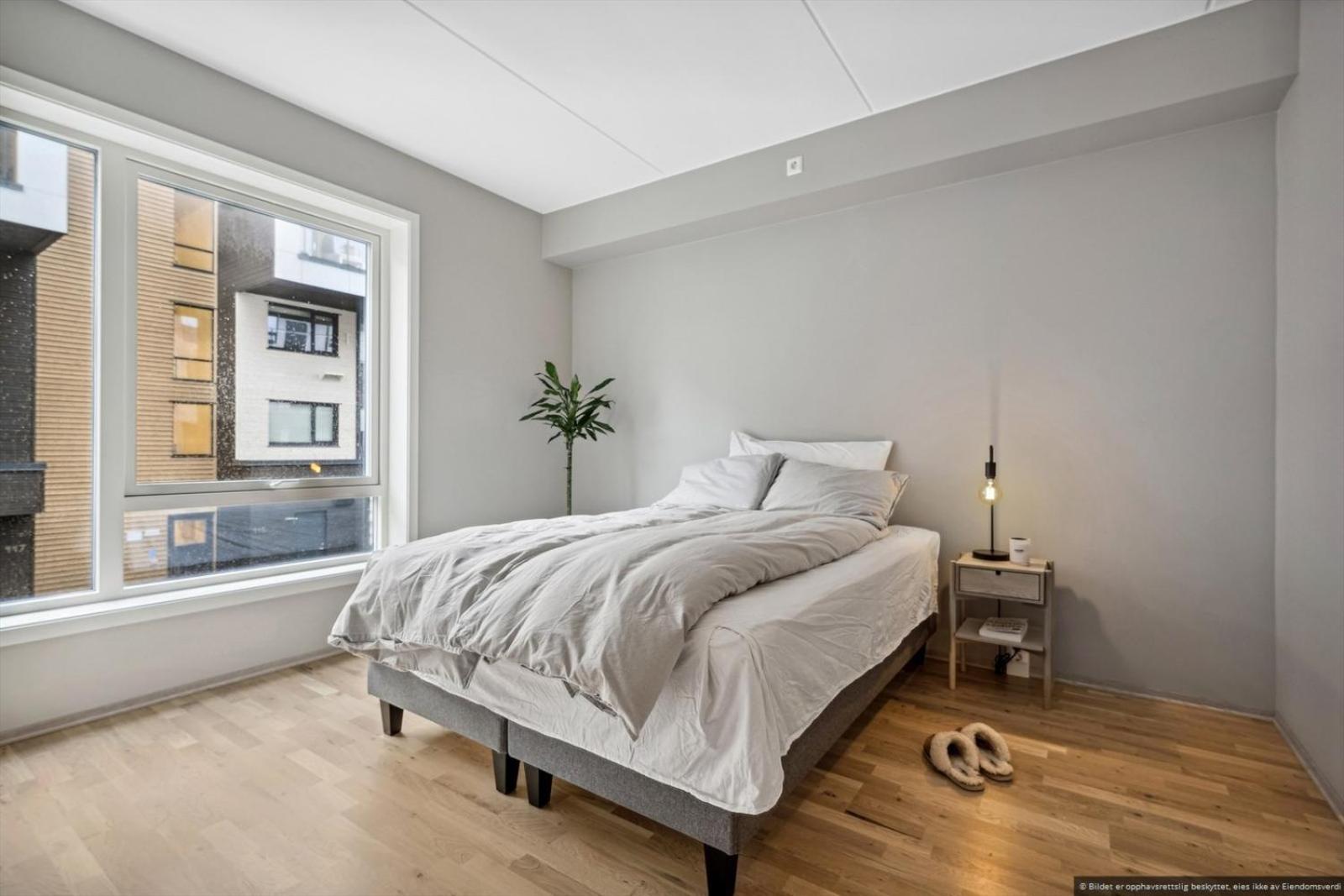 Apartment Modern 1 Bedroom In *