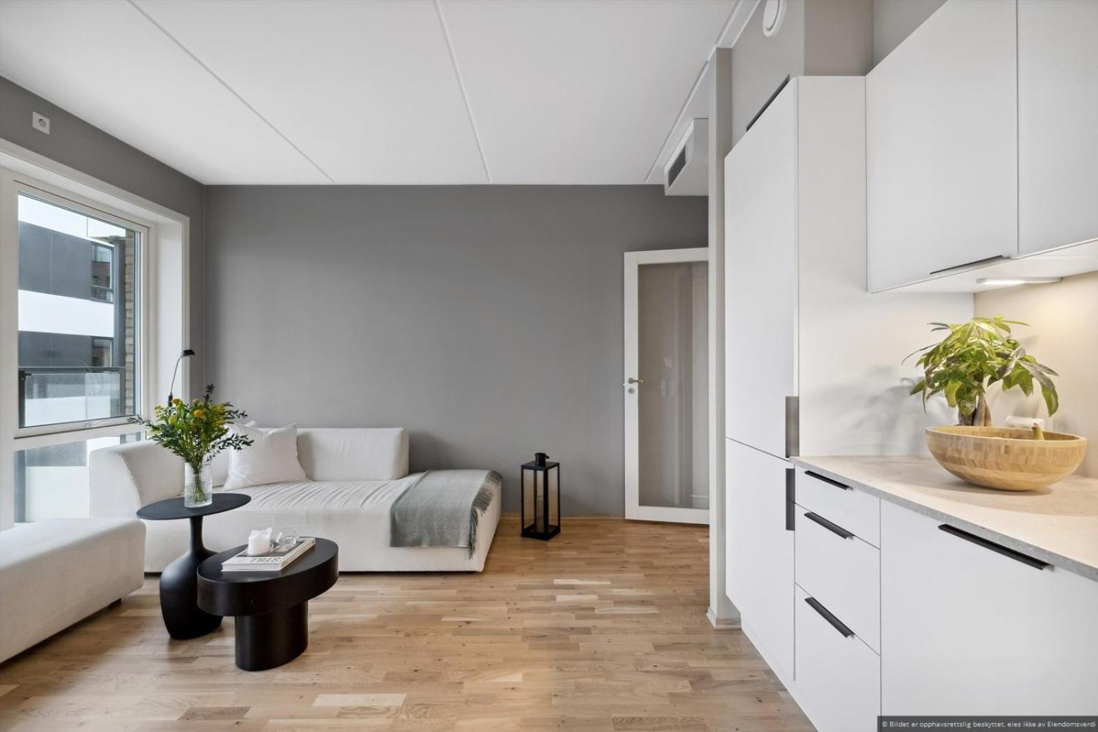 Modern 1 Bedroom In